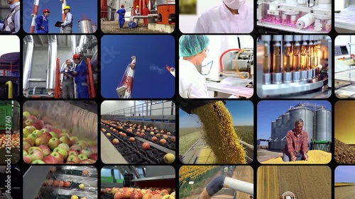 Global Industry and Farming Multi-Window Montage - 8x12 Video Grid of Green Energy, Factories and Agribusiness. Mega Split Screen Corporate Video.