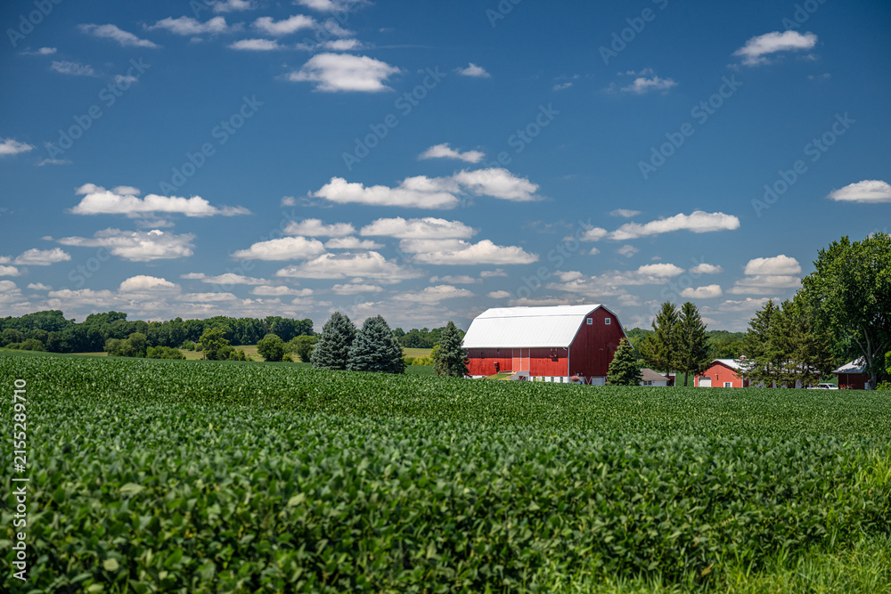 Naklejka premium Wisconsin countryside