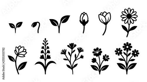 Minimal Black Flower Growth and Botanical Icon Set Vector