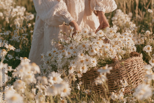Woman in a light dress holding a bouquet of white daisies in a sunny field, with soft golden light, wild blooms and a calm summer mood.