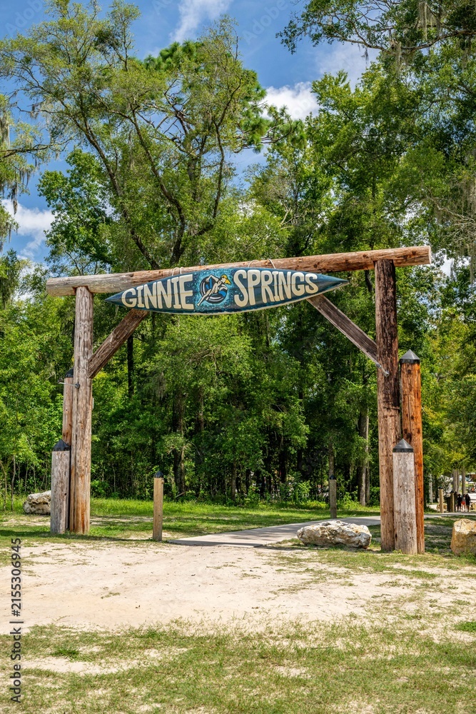 Fototapeta premium ginnie springs, florida
