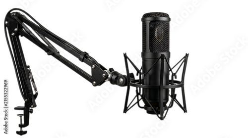 Canvastavla Studio Microphone on Boom Arm: A professional condenser microphone is mounted on an adjustable boom arm, ready for recording audio in a studio setting