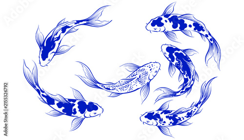 Bild auf Leinwand Group of blue koi fish swimming in a circle pattern isolated on a white backgrou