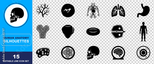 Set of fifteen black human anatomy silhouettes featuring various internal organs bones and body systems for medical education and scientific research graphic design