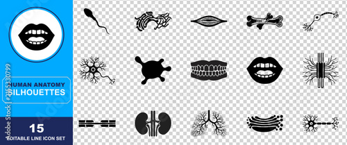 Intricate black silhouettes depicting a range of human anatomy components such as internal organs cells and skeletal systems for use in medical visualizations