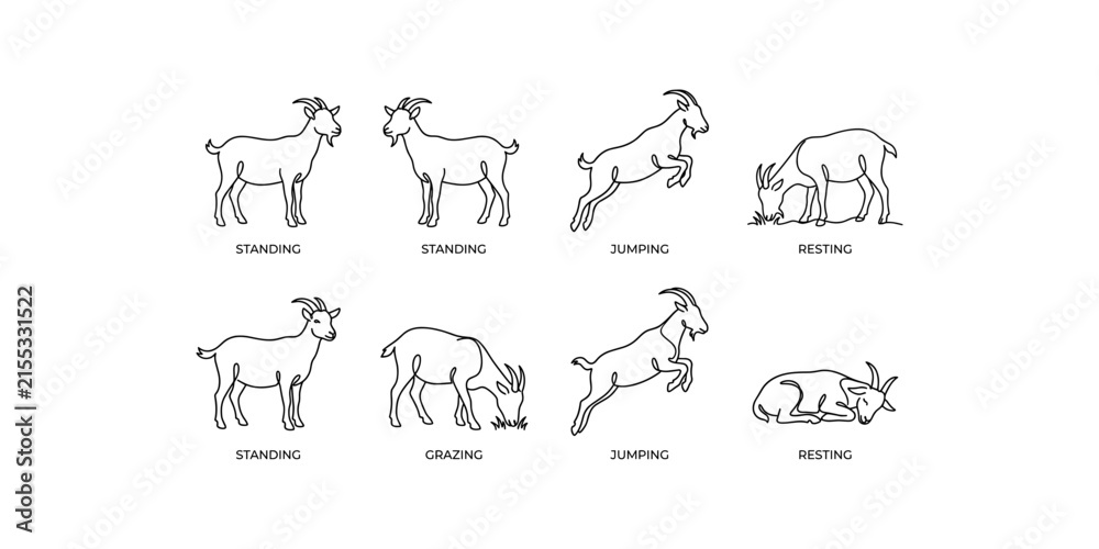 Fototapeta premium Continuous line art goat vector icon set showing standing jumping grazing and resting farm animal poses