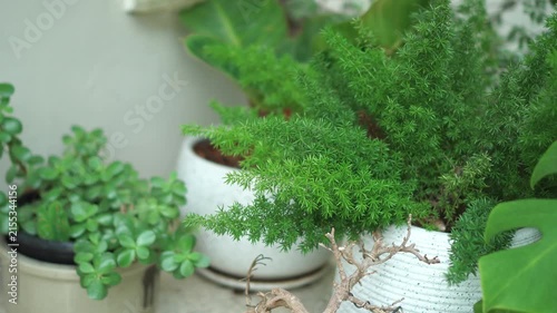 Relaxing corner in the coffee shop and a quiet workspace, decorated with small plants and warm-toned lamps on the tables.