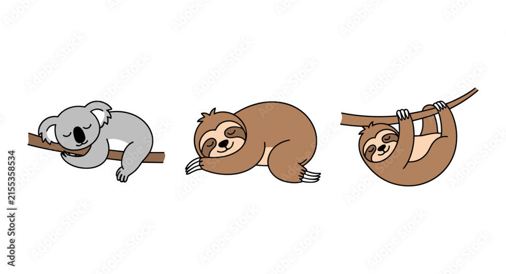 Fototapeta premium Cute cartoon vector illustration set of sleeping koala on a branch and lazy sloths resting and hanging isolated on white background