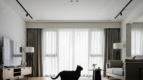 Minimalist Living Room with Black Cat Silhouette