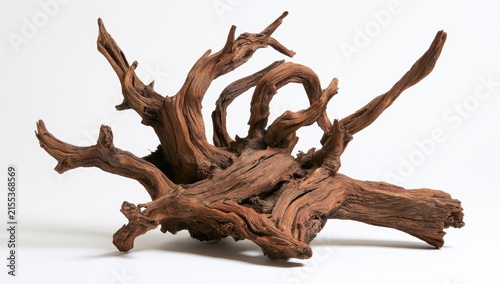 Exotic Natural Driftwood Sculpture for Aquarium or Home Decor.