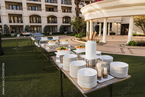 Outdoor catered buffet spread on a lawn for an event