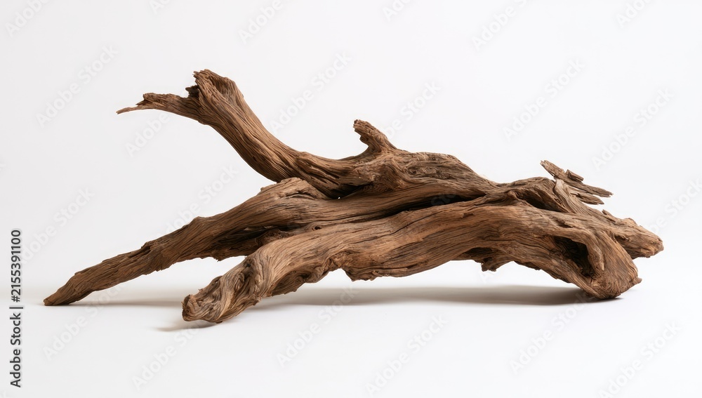 Fototapeta premium Natural Gnarled Driftwood Sculpture on White Background.