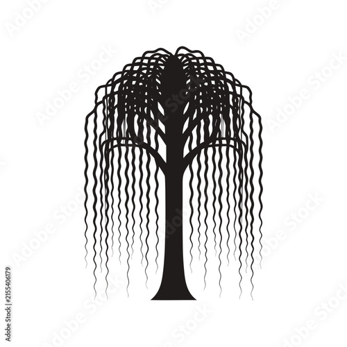 Weeping willow tree silhouette, black botanical plant vector icon, minimalist nature logo element on white background