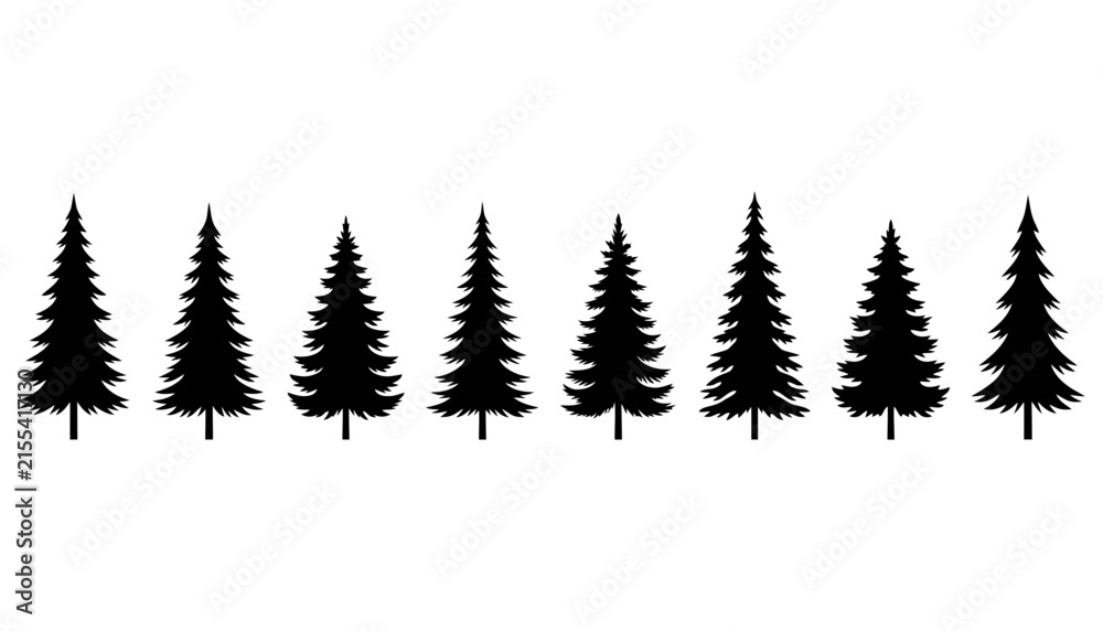 Fototapeta premium Row of black pine tree silhouettes with transparent evergreen tree