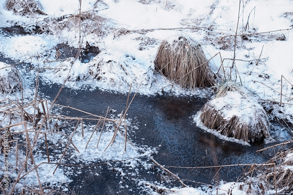 Obraz premium Winter forest. Landscape of the park in winter. Snow-covered trees at the edge.
