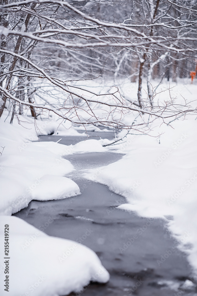 Obraz premium Winter forest. Landscape of the park in winter. Snow-covered trees at the edge.