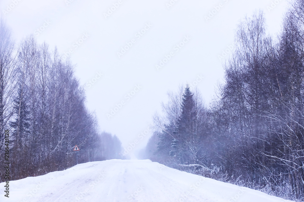 Naklejka premium The forest is covered with snow. Frost and snowfall in the park. Winter snowy frosty landscape.