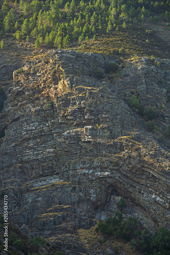 Canvas Print Layered rocky mountainside with exposed stone strata topped by a dense pine tree
