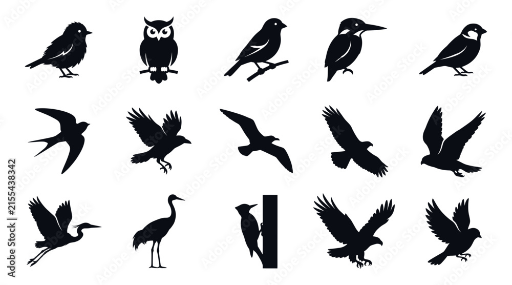 Obraz premium Set of bird silhouettes
