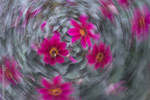 Foto Abstract magenta flowers captured with circular intentional camera movement, creating a dynamic swirling floral composition with expressive motion blur