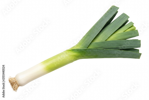 Canvastavla Fresh whole leek vegetable with green leaves and white stalk