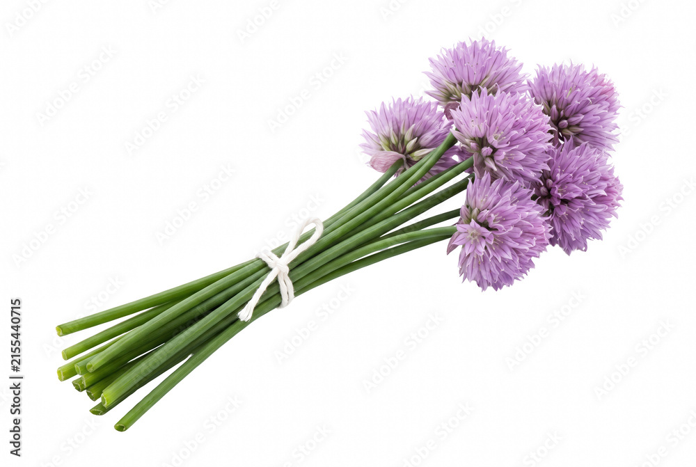 Fototapeta premium Bunch of Fresh Chives with Purple Flowers Tied with String