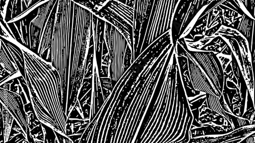 black and white background