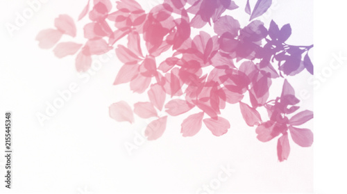 Ethereal pink leaves background, soft purple floral gradient, delicate botanical foliage on white, elegant nature wallpaper for wedding stationery