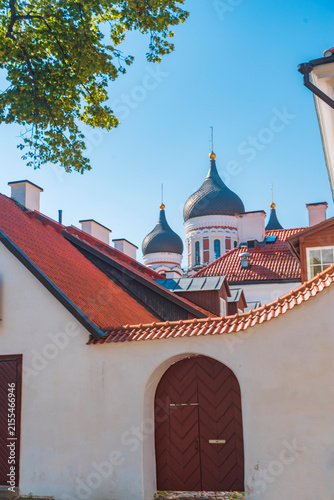 Konstfotografi Closed wooden gate and ancient cathedral domes against sky with copy space