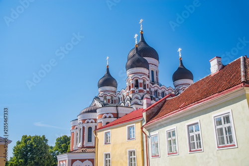 Photography Alexander Nevsky Cathedral domes above tiled roofs in Tallinn with copy space