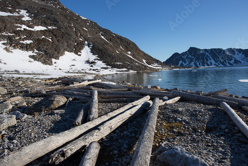 Tree trunks washed up on a beach on the island of Svalbard in the Arctic Ocean. The image demonstrates that pollution occurs even on the most remote parts of the world.