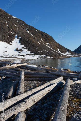 Tree trunks washed up on a beach on the island of Svalbard in the Arctic Ocean. The image demonstrates that pollution occurs even on the most remote parts of the world.