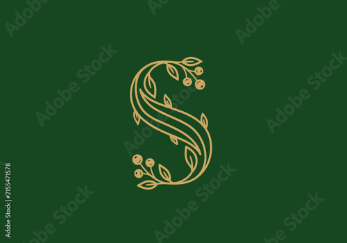Ornate letter S with decorative floral vines.