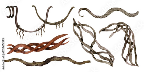 Watercolor tropical jungle branches lianas and twisted vines earthy border collection set