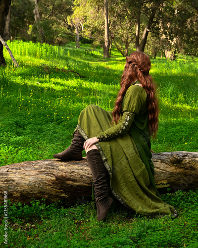 full length portrait of beautiful female model, wearing green medieval historical gown costume with cape. sitting figure pose on tree branch.  Magical lake forest background 