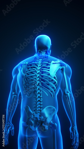 Human Slouching and Poor Posture 3D Illustration