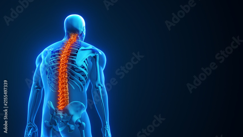 Human with Back Pain and Highlighted Spine Due to Slouching and Poor Posture 3D Illustration with Copy Space