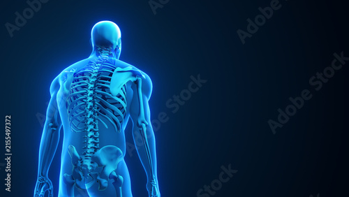 Human Slouching and Poor Posture 3D Illustration with Copy Space