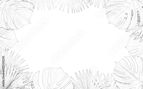 A delicate fern leaf sketch with intricate details is presented on transparent background foliage botanical plant leaves herbarium illustration drawing graphic vector design