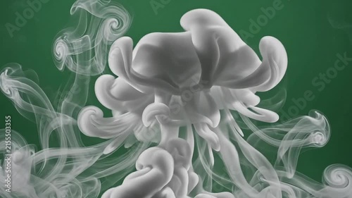 White smoke or ink flowing on a green screen, abstract fluid shape spreading like a cloud, organic motion of swirling liquid paint, chroma key studio shot for visual effects and compositing