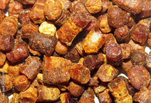 Pile of bee bread. Beehive product
