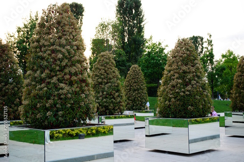 A flowerbed with green trees in Galitsky Park.