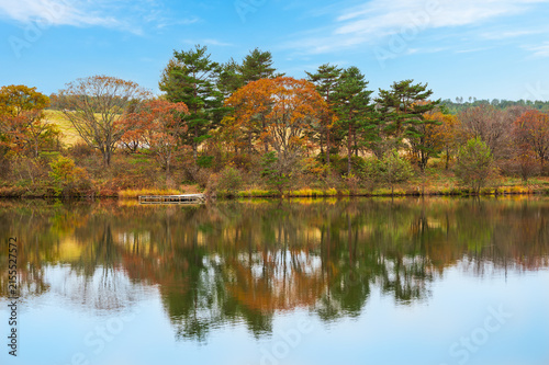 群馬県嬬恋村のバラキ湖の秋の風景