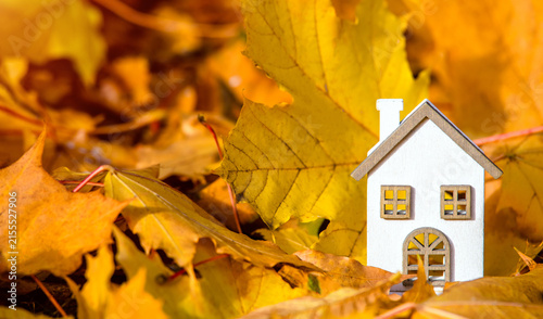 Obraz na płótnie The symbol of the house stands among the fallen autumn leaves