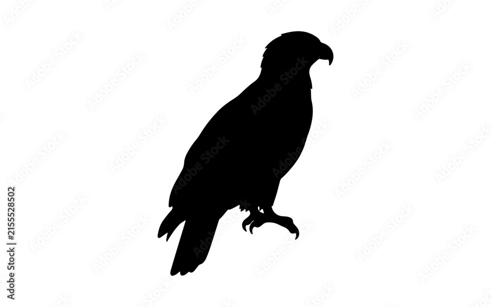 Fototapeta premium Black silhouette of an eagle bird standing still