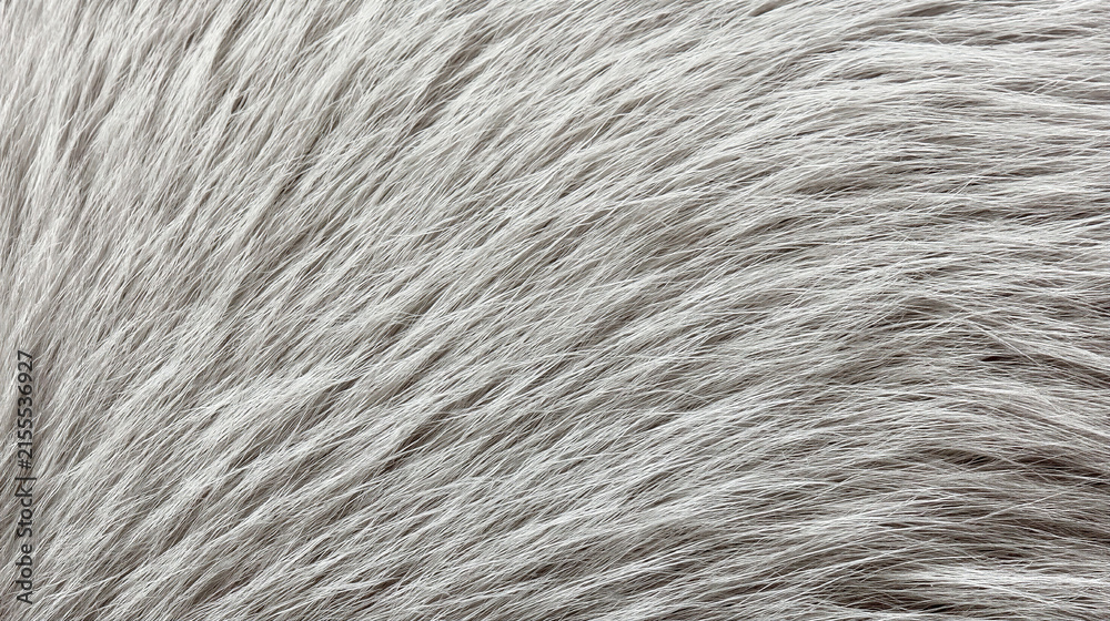 Fototapeta premium Soft gray animal fur texture close up with natural light and fine detail