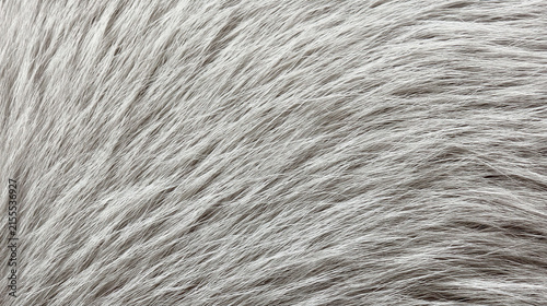 Soft gray animal fur texture close up with natural light and fine detail