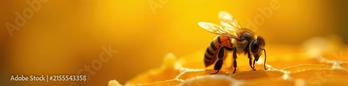 Close-up bee waggle dance, honeycomb background, swarm, close-up, brown