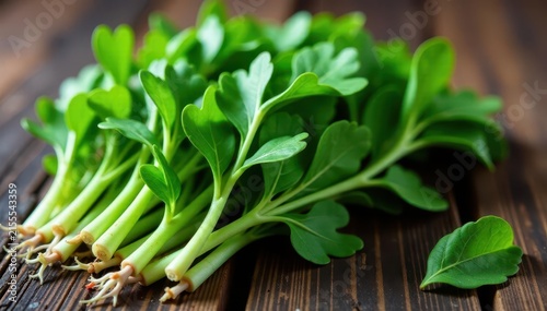 Bunch of arugula with visible stems and roots , nature, rocket, harvest