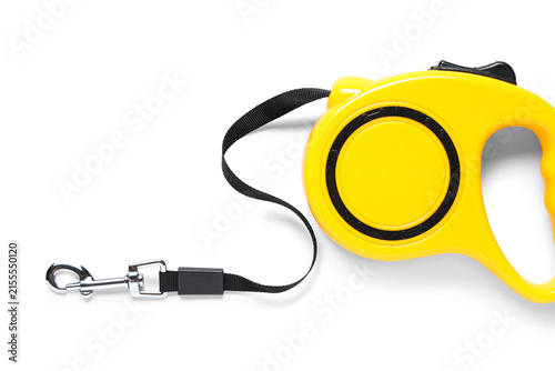 Bild auf Leinwand Retractable dog leash on white background, closeup